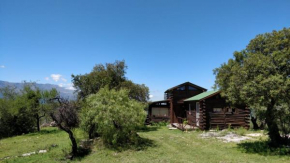 Cabaña de Troncos en la montaña